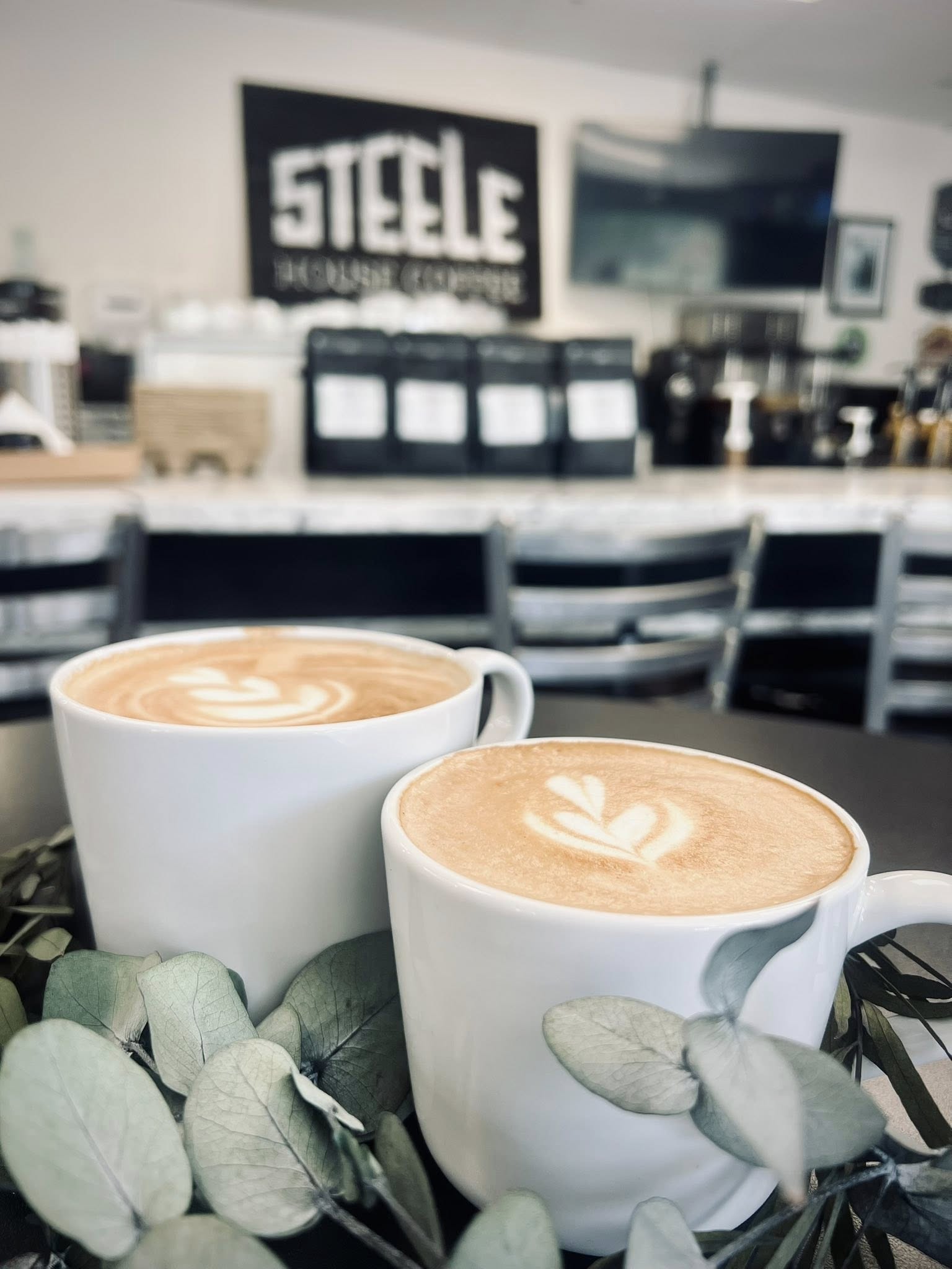 690764527_122095550655315146_5459519519489064742_n - Steele House Coffee Two white cups of latte with leaf latte art in focus, set against a blurred café background and greenery in the foreground